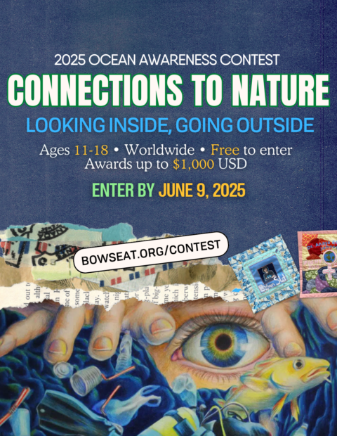 Connections to Nature contest poster