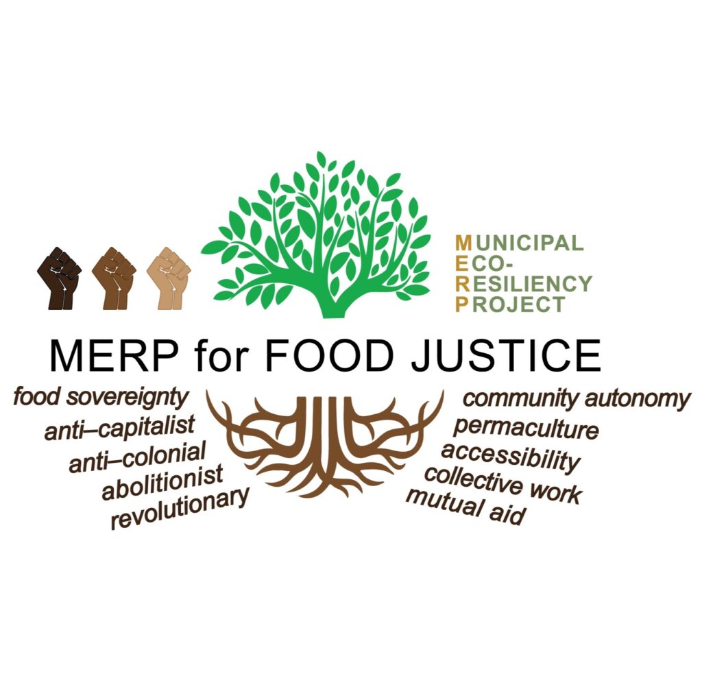 MERP Logo