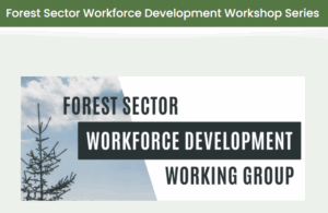 Forest Sector Workforce Development Group