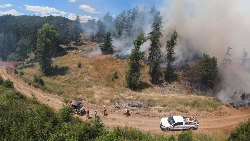 Landowners’ options for prescribed burning