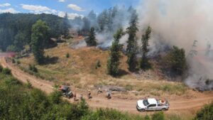 Landowners’ options for prescribed burning