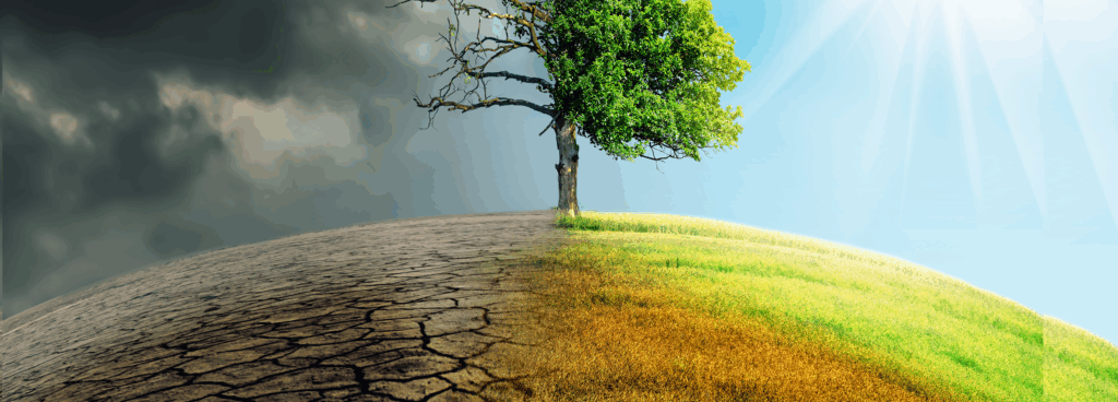 Lemelson Climate Action