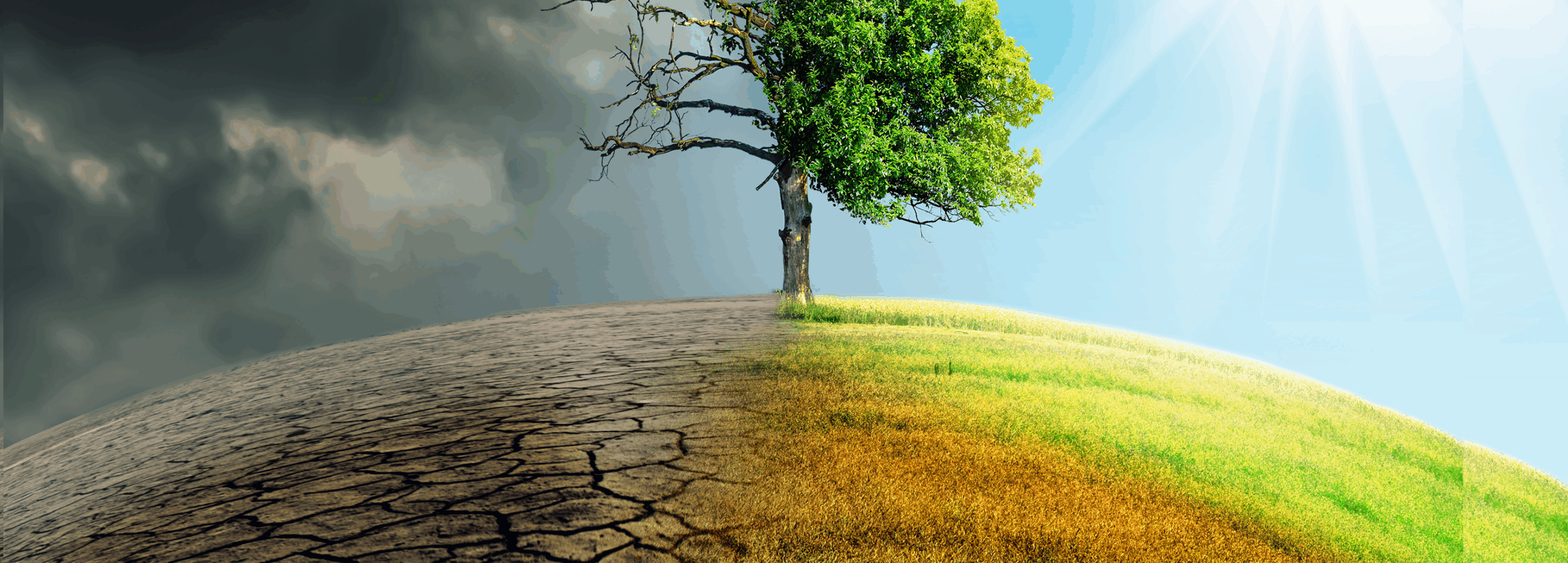 Lemelson Climate Action