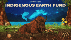 Indigenous Earth Fund