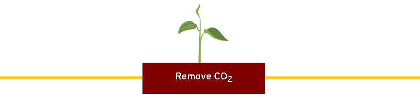 Remove CO2