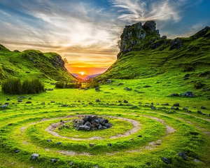 EcoRestoration Alliance