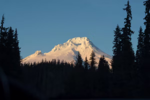 https://www.opb.org/article/2026/04/09/oregon-forest-protections-conservation-groups/Mount Hood and Mount Hood National Forest on Dec. 12, 2025. Mount Hood and Mount Hood National Forest on Dec. 12, 2025. Saskia Hatvany / OPB Before issuing sweeping protections on more than 30% of U.S. Forest Service-managed lands in 2001, federal officials spent more than a year holding 600 meetings across Western states and received more than 1.6 million public comments. But federal officials have not held a single public meeting since they announced in August an effort to terminate the 2001 Roadless Rule, which prohibits road construction, logging and mining on roughly 60 million acres of public land, including about 2 million acres of forests in Oregon. Forest Service officials did not respond to questions from the Capital Chronicle Thursday morning. Instead, U.S. Rep. Andrea Salinas — a Democrat representing Oregon’s Willamette Valley and ranking member of the House Agriculture Committee’s forestry subcommittee — and several conservation groups led by the Oregon chapter of the Sierra Club are taking up the mantle. Salinas and the Sierra Club hosted a public meeting Wednesday at the Ecotrust building in Portland, where roughly 60 audience members could give verbal comments or submit written ones. It was one of three public meetings on the Roadless Rule they scheduled this month, including a Monday meeting in Bend with roughly 150 attendees, according to organizers, and another scheduled for April 14 in Eugene. Related: What the reorganization of the U.S. Forest Service will mean for the Pacific Northwest The U.S. Department of Agriculture has so far opened a single three-week comment period since its leader, Brooke Rollins, proposed terminating the rule in August. Salinas told the audience a second comment period would open soon. The first public comment period brought in more than 600,000 comments, most of which expressed opposition to any rollback of the Roadless Rule. “Our next opportunity for public comment will open any day now, and I will again use this opportunity to demand this administration change course,” Salinas said. Last summer, she introduced the Roadless Area Conservation Act to enshrine the rule in federal law, but it does not yet have enough support to pass. In the House, 78 of her colleagues have signed on as co-sponsors, including Oregon Democratic Reps. Suzanne Bonamici, Janelle Bynum and Maxine Dexter, as have 25 U.S. Senators. The state’s two other representatives, Democrat Val Hoyle and Republican Cliff Bentz, have not signed on as sponsors. What roadlessness protects Roadless areas in Oregon include Iron Mountain in the Willamette National Forest, Joseph Canyon in Wallowa County, Tumalo Mountain in central Oregon and Lookout Mountain in the Ochoco National Forest. Jared Kennedy, who works for the Greater Hells Canyon Council in Enterprise, said at Wednesday’s meeting there are already 26,000 miles of roads across Forest Service lands in eastern Oregon, southeast Washington and north-central Idaho. “That’s more than enough miles of road to circle the Earth and then still drive to Portland from Enterprise and back,” he said. Some attendees had worked on passing the Roadless Rule and spoke at public meetings the Forest Service held in 1999 and 2000. Among them was Kristin Faulkner, who said issues that spurred the rule in the first place have only gotten worse, as climate change, declining snowpacks and biodiversity loss accelerate drought, floods and wildfire. “Here we are 26 years later, or six presidential terms later, or a generation later, to again defend why we desperately need the Roadless Rule to remain fully intact more than ever before,” she said. She and others argued that intact forests have far-reaching benefits, including keeping water clean for fish and humans. Nearly 90% of people in the West are served by public drinking water systems that rely on water from national forest and grasslands. Commenters also discussed the massive amounts of carbon forests take-in and store, and that would otherwise enter the atmosphere as gas, further increasing global temperatures and climate change. The largest roadless area in the U.S., the Tongass National Forest in Alaska, holds 44% of all the carbon stored by the United States’ national forests and is home to some of the last old-growth stands in the country. Related: US Forest Service to close Portland headquarters, research station, open Salem office A firefighter at the meeting discussed his concerns with more roads in forests given 85% of wildland fires are caused by humans, and 90% of those start within a half mile of roads, according to Forest Service data. Others discussed the already low funding and growing backlog of maintenance needs on existing roads in national forests. Jordan Latter, a manager at Bark, a conservation watchdog group dedicated to protecting the Mt. Hood National Forest, cited a recent Pew Charitable Trusts report showing a $6.4 billion road maintenance backlog within the National Forest system. He added that the roads in Mt. Hood alone need $72 million of investment to be brought up to standard. “And what is in the president’s fiscal year 2027 budget proposal? $73 million for road maintenance — for the entire National Forest system,” he said. Oregon Capital Chronicle is part of States Newsroom, a network of news bureaus supported by grants and a coalition of donors as a 501(c)(3) public charity. Oregon Capital Chronicle maintains editorial independence. Contact Editor Julia Shumway for questions: info@oregoncapitalchronicle.com. Follow Oregon Capital Chronicle on Facebook and Bluesky. This republished story is part of OPB’s broader effort to ensure that everyone in our region has access to quality journalism that informs, entertains and enriches their lives. To learn more, visit opb.org/partnerships.